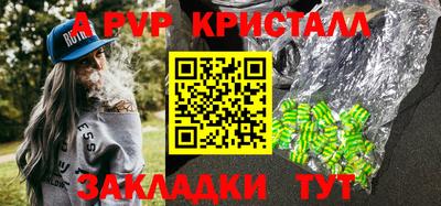 стаф Камышлов