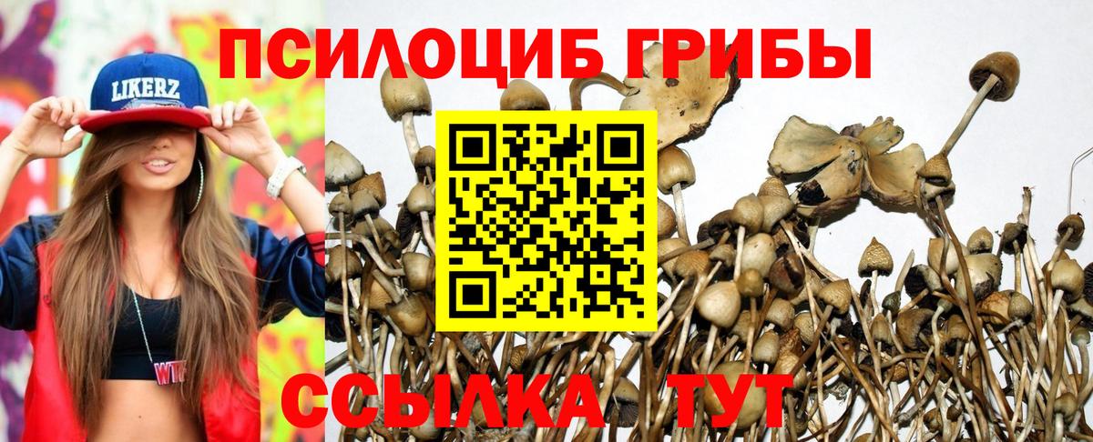 Галлюциногенные грибы прущие грибы  Вход с VPN  Лесозаводск 